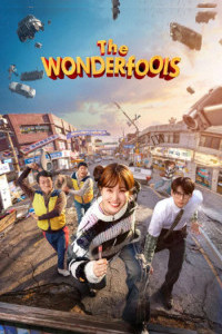 The Wonderfools (2026) S01 Hindi Web Series